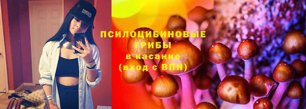 тгк Алзамай