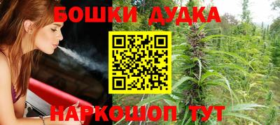 стаф Кулебаки
