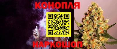 стаф Кулебаки