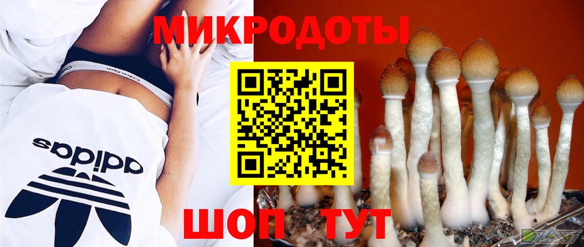 Дербент  Галлюциногенные грибы мицелий  Вход с VPN 
